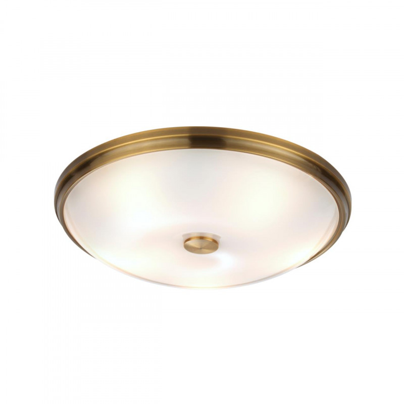 Накладной светильник Odeon Light 4956/5