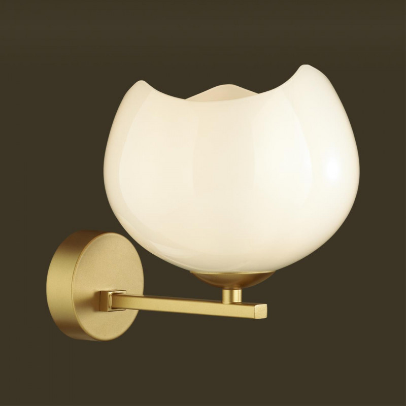 Бра Odeon Light 4873/1W