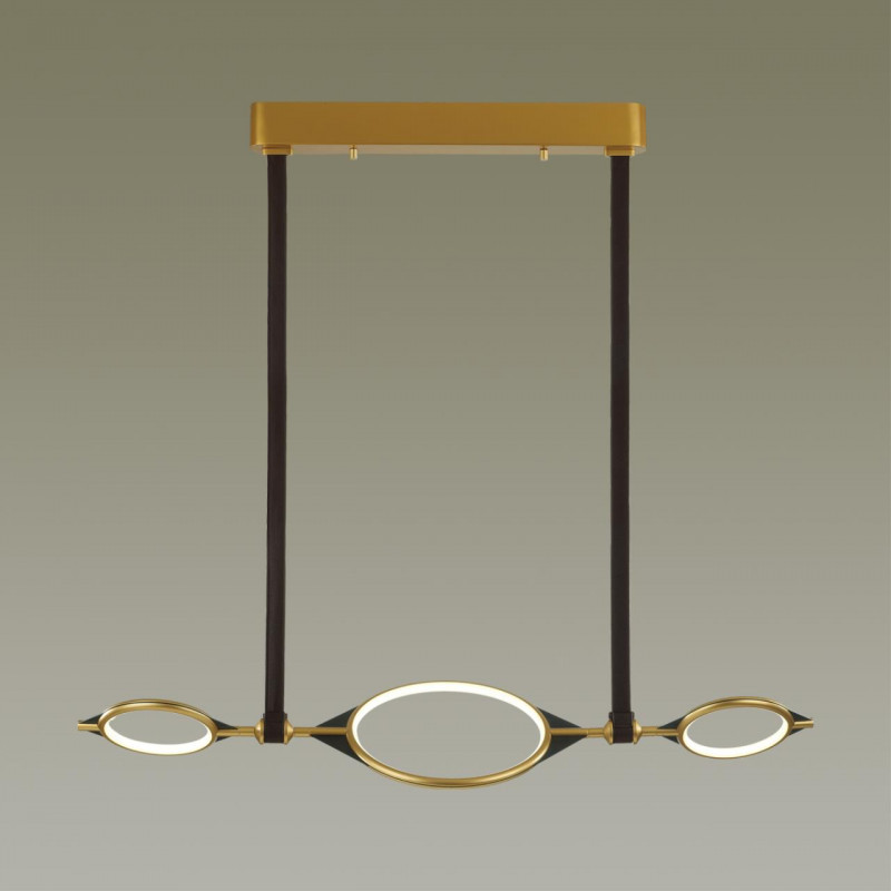 Подвесная люстра Odeon Light 4995/40L