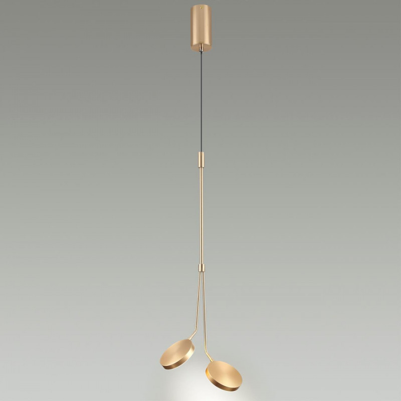 Подвесной светильник Odeon Light 5011/16L